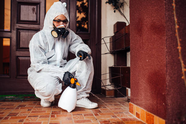 Reliable Wasp Removal contractor in East Shoreham, NY by Show Me Pest Control